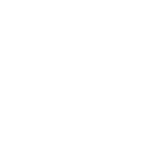 Salesman Order App